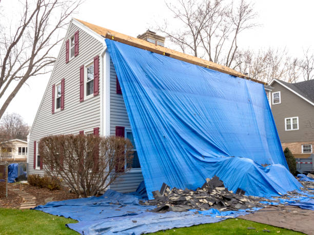 Best Demolition Debris Removal  in Warren, OH